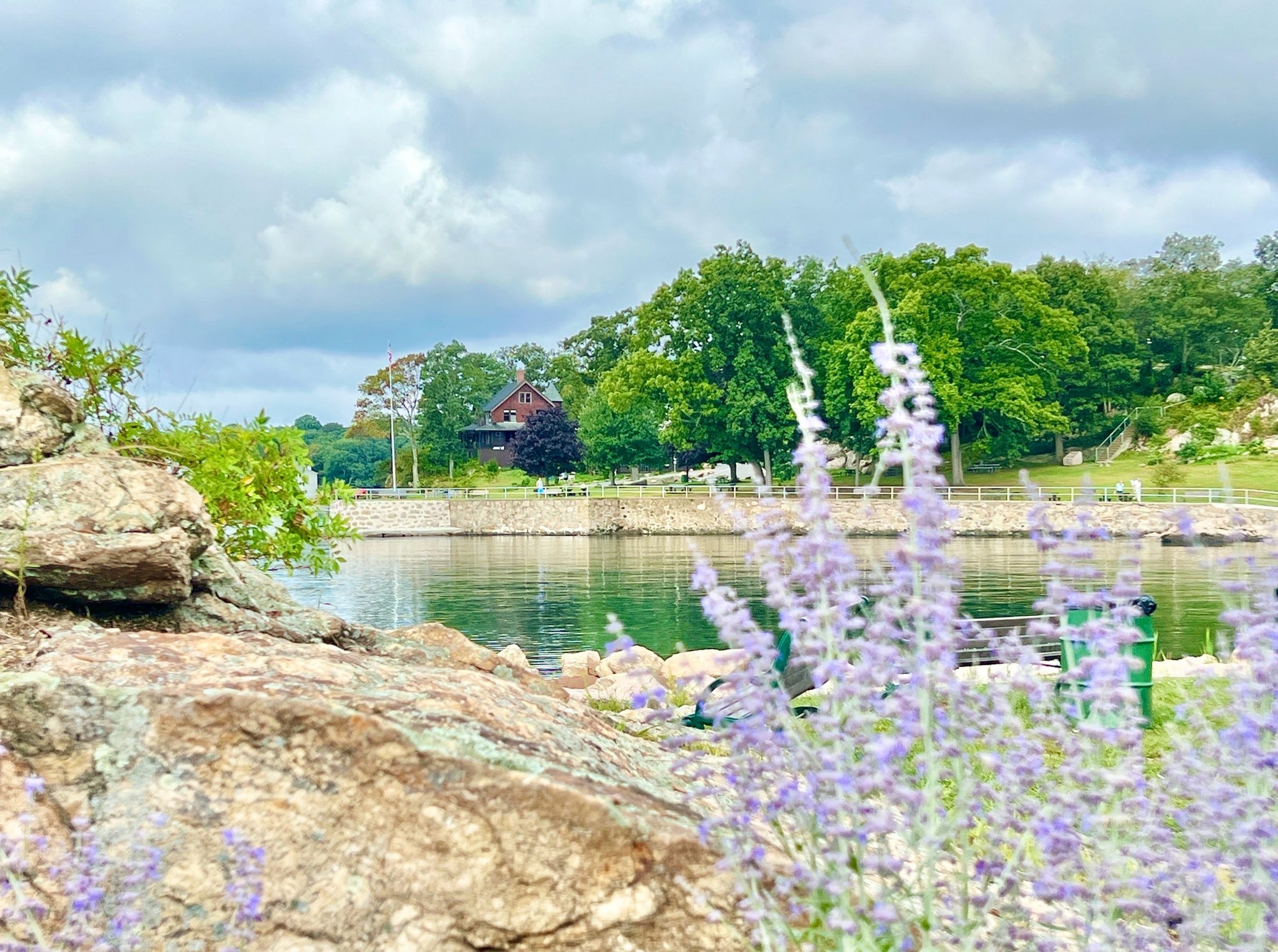 Silk-like rocks and purple flowers in the foreground, with a lake, trees, and a house in the background under a cloudy sky.