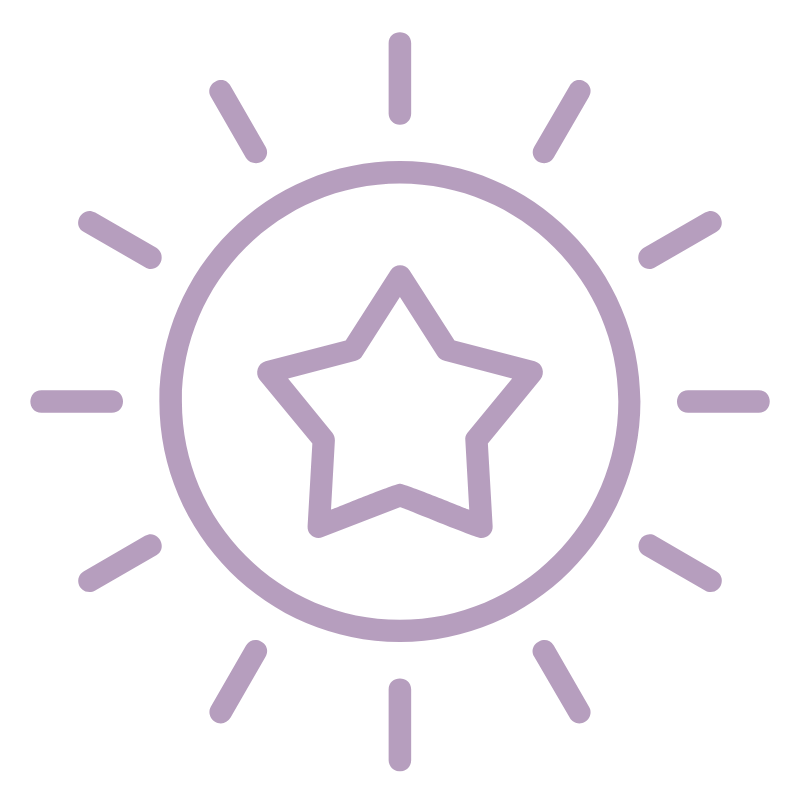 A purple silk-outline star inside a circle, with lines radiating outward, resembling a stylized sun.