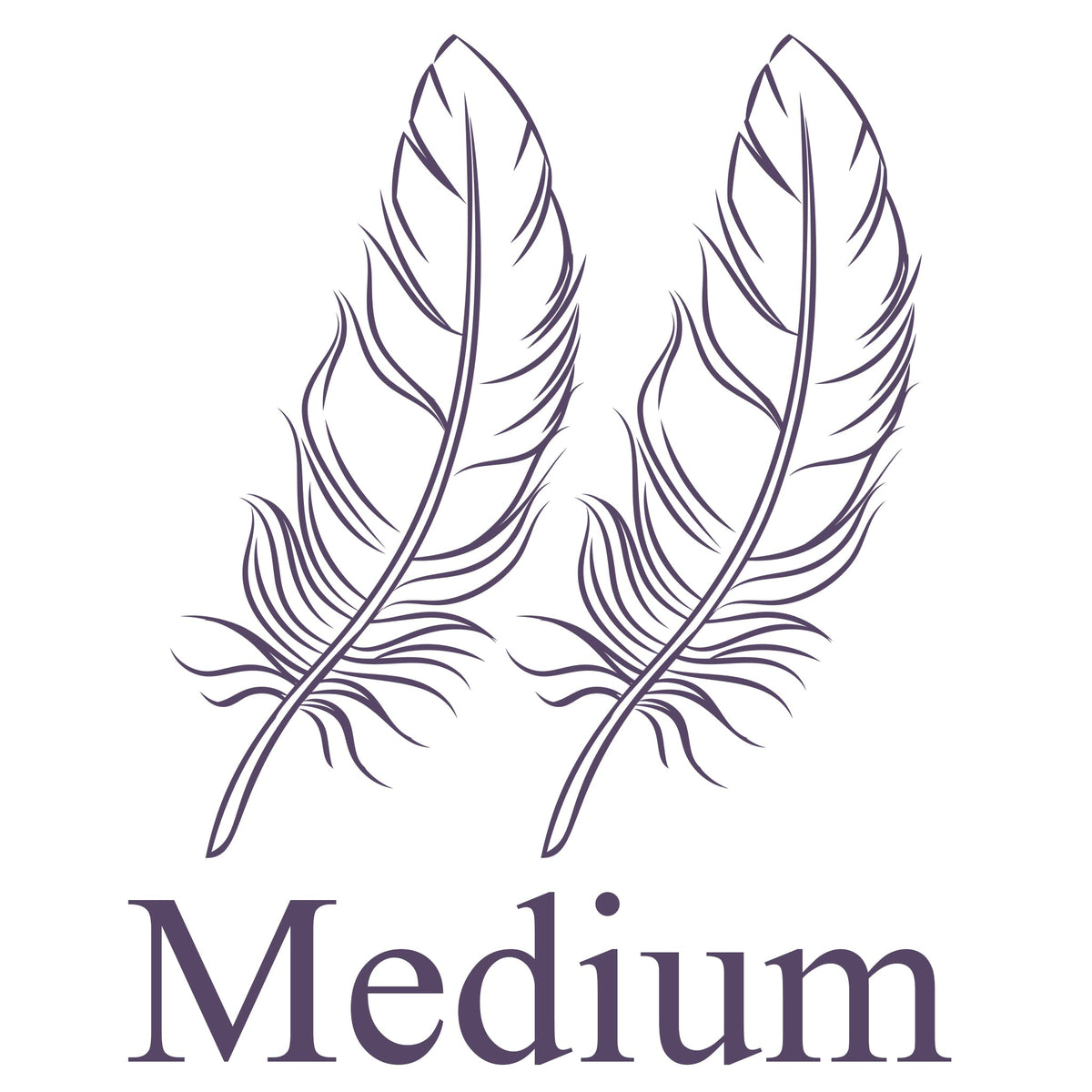 Feather illustration with 'Medium' text on a white background