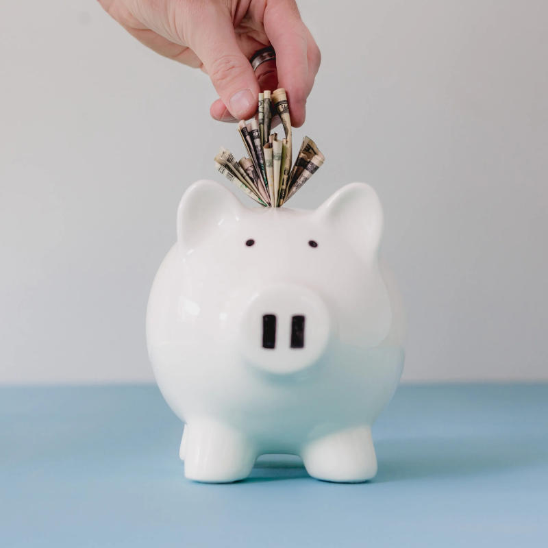 Piggy Bank stuffed with money for Silk Sheets from Mulberry Park Silks